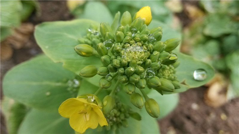 1433993180701590.jpg 1433993180701590.jpg