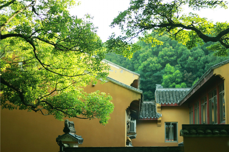 1433993178401701.jpg 1433993178401701.jpg