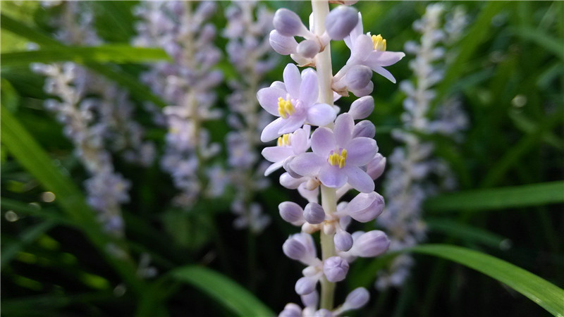 1433993180188091.jpg 1433993180188091.jpg