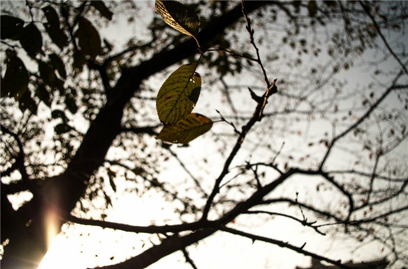 1433993175105815.jpg 1433993175105815.jpg