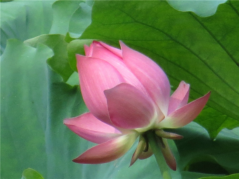 1433993170131427.jpg 1433993170131427.jpg